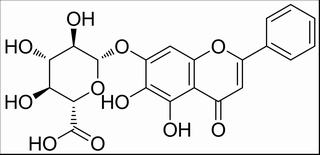 黄芩苷，分析标准品,HPLC≥98%