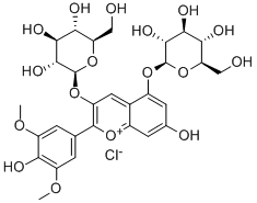 氯化锦葵色素苷，分析标准品,HPLC≥95%