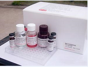 鸭子碳酸酐酶(CA)ELISA检测试剂盒