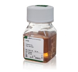 Fetal Bovine Serum, certified, heat inactivated, US origin