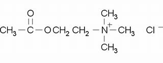 氯化乙酰胆碱，分析标准品,98%（T）