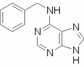 6-苄氨基嘌呤，分析标准品,HPLC≥98%