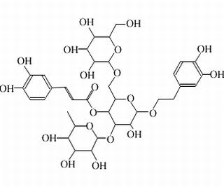 松果菊苷，分析标准品,HPLC≥98%