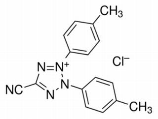 5-氰基-2，3-二-（P-苄基-四唑氯化物），分析标准品,HPLC≥85%
