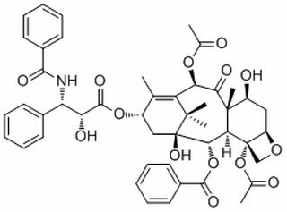 紫杉醇，化学对照品(30 mg)