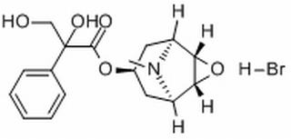 氢溴酸樟柳碱，化学对照品(100mg)