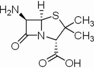 6-氨基青霉素酸，分析标准品,HPLC≥98%