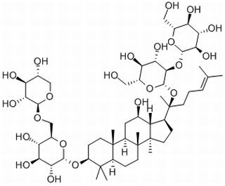 20(R)人参皂苷Rg3，分析标准品,HPLC≥98%