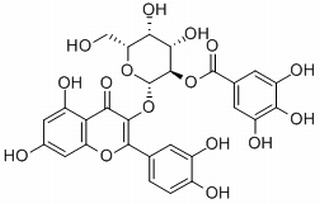 2”-O-没食子酰基金丝桃苷，分析标准品,HPLC≥98%
