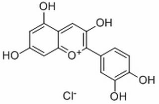 氯化矢车菊素，分析标准品,HPLC≥98%