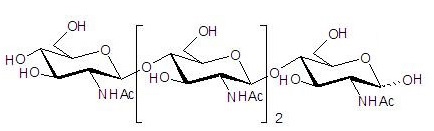 N-乙酰化的壳四糖，分析标准品,HPLC≥97%