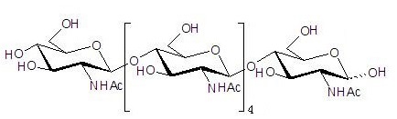 N-乙酰化的壳六糖，分析标准品,HPLC≥95%