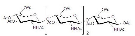 全乙酰化的壳四糖，分析标准品,HPLC≥97%
