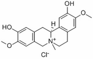 盐酸黄柏碱，分析标准品,HPLC≥98%