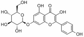 山奈酚-7-O-葡萄糖苷，分析标准品,HPLC≥98%