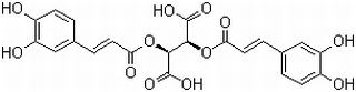 二咖啡酰菊苣酸，分析标准品,HPLC≥98%