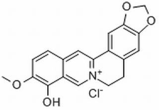 小檗红碱，分析标准品,HPLC≥98%
