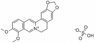 硫酸小檗碱，分析标准品,HPLC≥98%