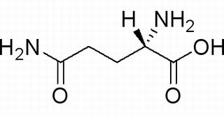 L-谷氨酰胺，分析标准品,HPLC≥98%