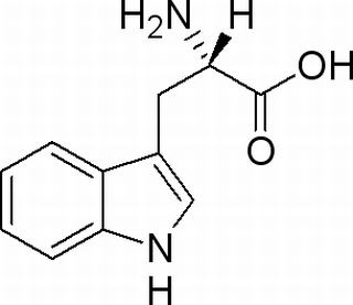 L-色氨酸，分析标准品,HPLC≥98%