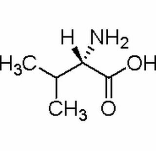 L-缬氨酸，分析标准品,HPLC≥98%