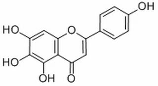 野黄芩素，分析标准品,HPLC≥98%