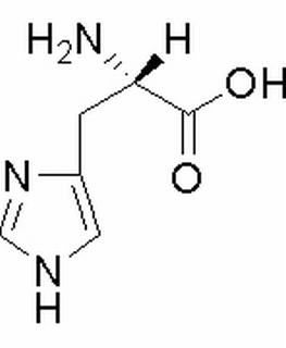 L-组氨酸，分析标准品,HPLC≥98%