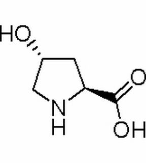 L-羟脯氨酸，分析标准品,HPLC≥98%