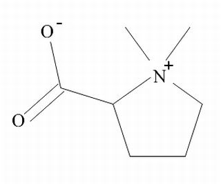 盐酸水苏碱，化学对照品(约20mg)