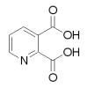 吡啶-2，3-二羧酸，分析标准品,HPLC≥98%