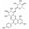 山柰酚-3-O-芸香糖苷，分析标准品,HPLC≥98%