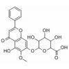 千层纸素A-7-0-β-D-葡萄糖醛酸苷，分析标准品,HPLC≥94%
