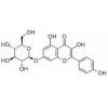 山奈酚-7-O-葡萄糖苷，分析标准品,HPLC≥98%