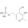 磷酸吡哆醛，化学对照品(100mg)
