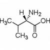 L-缬氨酸，分析标准品,HPLC≥98%
