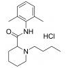 盐酸布比卡因，化学对照品(100mg)