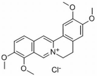 盐酸巴马汀，化学对照品(30mg)