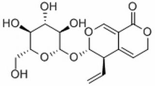 龙胆苦苷，化学对照品(20mg)