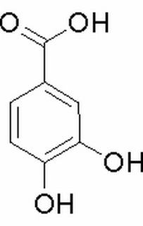 原儿茶酸，化学对照品(20mg)