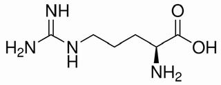 L-精氨酸，化学对照品(约50mg)