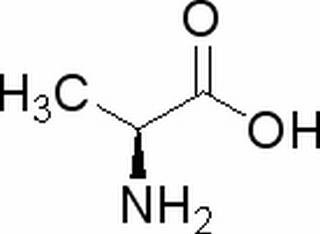 L-丙氨酸，化学对照品(约50mg)