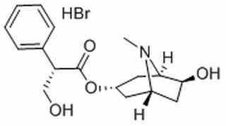 氢溴酸山莨菪碱，分析标准品,HPLC≥95%