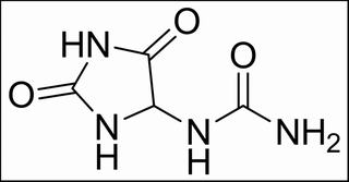尿囊素，化学对照品(50mg)