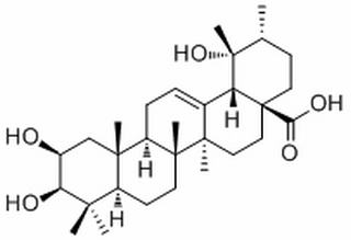2-Epitormentic acid，分析标准品,HPLC≥98%