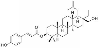 3-O-(E)-p-Coumaroylbetulin，分析标准品,HPLC≥98%