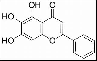 黄芩素，化学对照品(约20 mg)