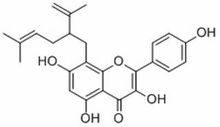 8-Lavandulylkaempferol,分析标准品,HPLC≥98%