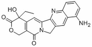 9-氨基喜树碱，分析标准品,HPLC≥98%