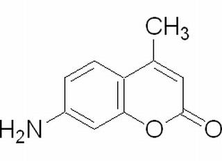 7-氨基-4-甲基香豆素，分析标准品,HPLC≥98%