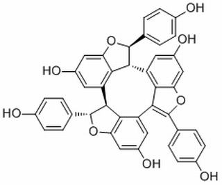 Caraphenol A,分析标准品,HPLC≥98%